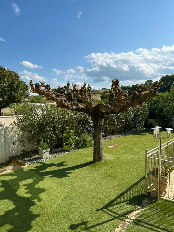 espacejardins30_entretien_taille_arbre_a_600px_800px