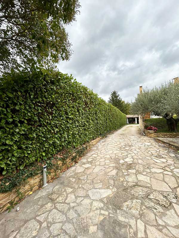 Entretien jardin et taille de haies à Cavillargues